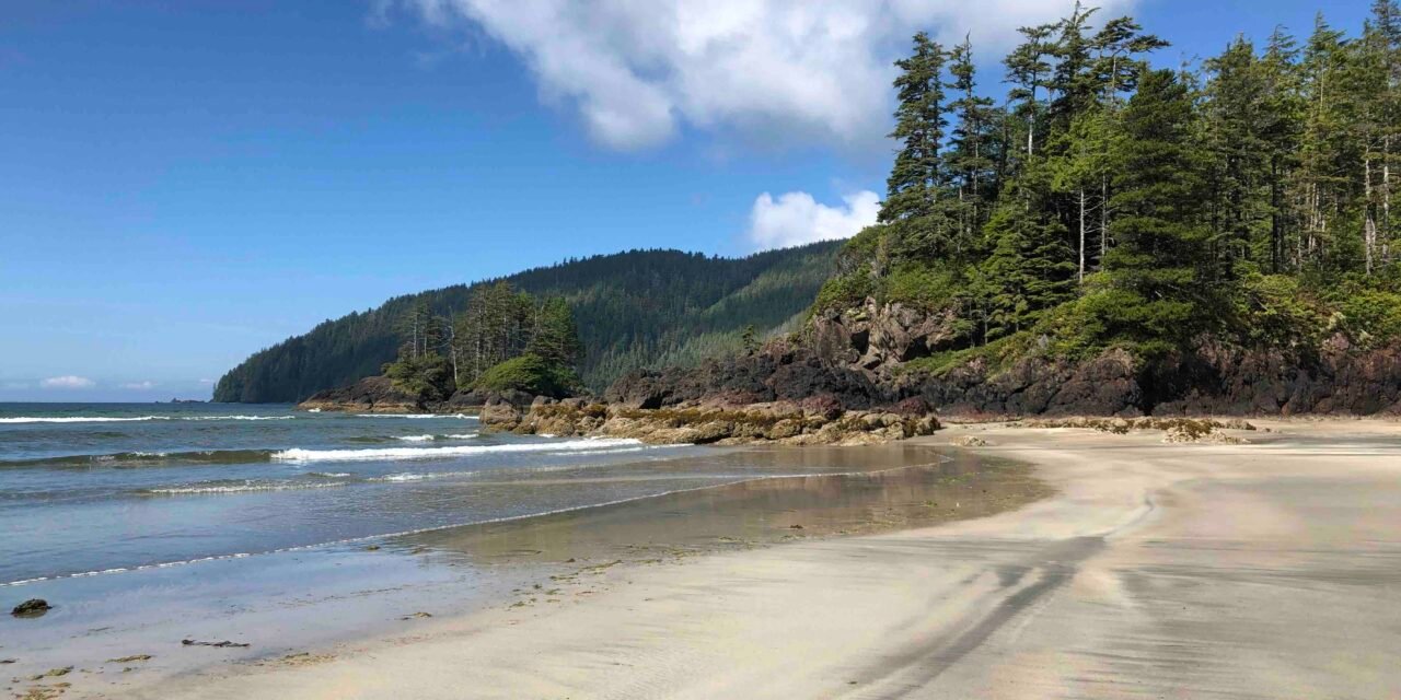 Exploring San Josef Bay: A 5-Day Itinerary on Vancouver Island