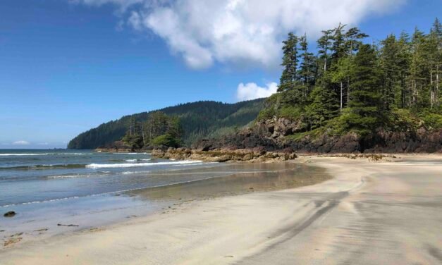 Exploring San Josef Bay: A 5-Day Itinerary on Vancouver Island